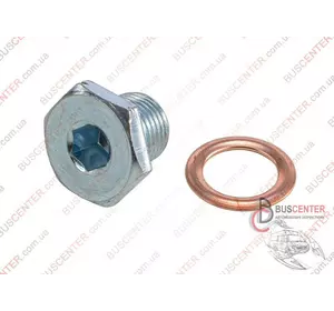 Пробка поддона масляного (1 шт) Fiat Ducato 0311 40 308.480.011 Пробка поддона масляного (1 шт) Fiat Ducato 0311 40 308.480.011