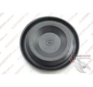 Заглушка двери задней распашной правой/ левой Ford Transit 1060464 Заглушка двери задней распашной правой/ левой Ford Transit 1060464