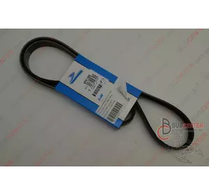 Ремень ручейковый 6 PK 1388 Fiat Scudo 71746714 DAY6PK1388 Ремень ручейковый 6 PK 1388 Fiat Scudo 71746714 DAY6PK1388
