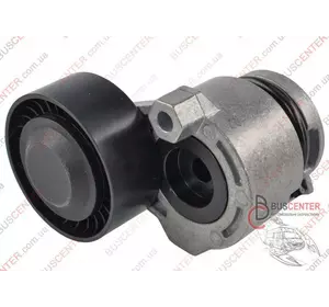 Натяжной ролик генератора (натяжитель) Renault Kangoo 8200608550 30686 Натяжной ролик генератора (натяжитель) Renault Kangoo 8200608550 30686