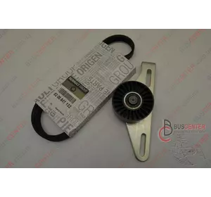 Натяжной ролик генератора (комплект) Renault Kangoo 7701477522 Натяжной ролик генератора (комплект) Renault Kangoo 7701477522