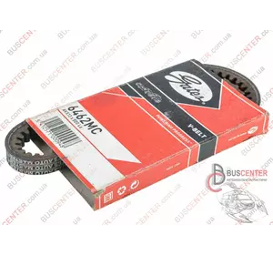 Ремень генератора 13X800 (клиновой) Volkswagen Lt 075 145 271 6462MC Ремень генератора 13X800 (клиновой) Volkswagen Lt 075 145 271 6462MC