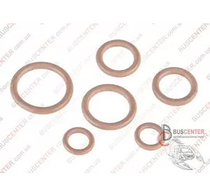 Комплект уплотнительных колец компрессора кондиционера Renault Clio 7701208363 Комплект уплотнительных колец компрессора кондиционера Renault Clio 7701208363