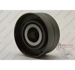 Натяжной ролик генератора Volkswagen Transporter 028 145 278 E DLO 83012 Натяжной ролик генератора Volkswagen Transporter 028 145 278 E DLO 83012