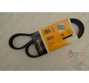 Ремень ручейковый 6 PK 1054 Fiat Doblo 55194752 6 PK 1054 Ремень ручейковый 6 PK 1054 Fiat Doblo 55194752 6 PK 1054