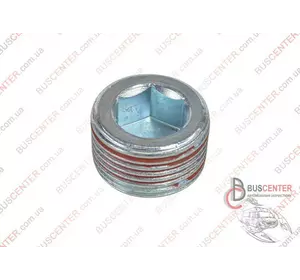 Пробка поддона масляного Fiat Doblo 55189930 FT94710 Пробка поддона масляного Fiat Doblo 55189930 FT94710