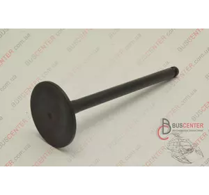 Впускной клапан (1 шт) Fiat Ducato 504069200 3989/RNT Впускной клапан (1 шт) Fiat Ducato 504069200 3989/RNT
