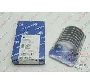 Вкладыш шатуна STD (стандартный "комплект - 8 шт") Volkswagen Caddy 028 105 701 77 213 600 Вкладыш шатуна STD (стандартный "комплект - 8 шт") Volkswagen Caddy 028 105 701 77 213 600