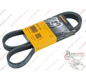 Ремень ручейковый 6 PK 1185 Fiat Ducato 9642430680 6 PK 1185 Ремень ручейковый 6 PK 1185 Fiat Ducato 9642430680 6 PK 1185