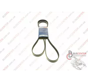 Ремень ручейковый 6 PK 2160 Mercedes Vito 012 997 06 92 1 987 946 281 Ремень ручейковый 6 PK 2160 Mercedes Vito 012 997 06 92 1 987 946 281