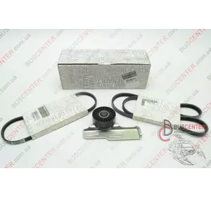 Натяжной ролик генератора до 2003 (комплект) Renault Megane 7701477565 Натяжной ролик генератора до 2003 (комплект) Renault Megane 7701477565