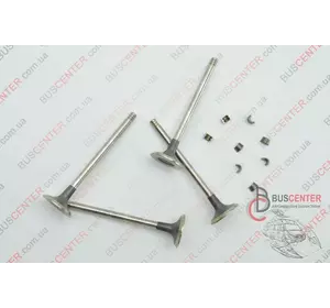 Выпускной клапан (комплект 4 шт) Renault Kangoo 132024905R Выпускной клапан (комплект 4 шт) Renault Kangoo 132024905R