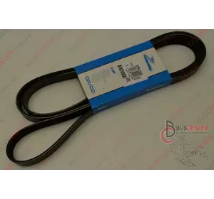 Ремень ручейковый 6 PK 2225 Volkswagen Lt 074 260 849 AC DAY6PK2225 Ремень ручейковый 6 PK 2225 Volkswagen Lt 074 260 849 AC DAY6PK2225