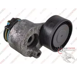 Натяжной ролик генератора Renault Kangoo 8200048486 Натяжной ролик генератора Renault Kangoo 8200048486
