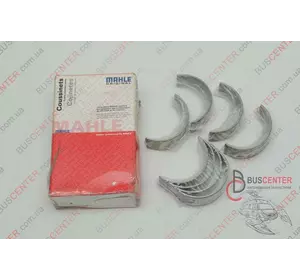 Вкладыш шатуна 0.25 (комплект - 8 шт) Volkswagen Crafter 029PS19909 025 029PS19909 0.25 Вкладыш шатуна 0.25 (комплект - 8 шт) Volkswagen Crafter 029PS19909 025 029PS19909 0.25
