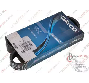 Ремень ручейковый 6 PK 800 Citroen Berlingo 55202379 6PK800 Ремень ручейковый 6 PK 800 Citroen Berlingo 55202379 6PK800