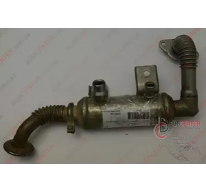 Охладитель отработанных газов (теплообменник EGR) Ford Connect 7T1Q9F464AA 7T1 Q9F 464 AA Охладитель отработанных газов (теплообменник EGR) Ford Connect 7T1Q9F464AA 7T1 Q9F 464 AA