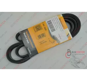 Ремень ручейковый 7 PK 1920 Renault Master 7701057890 7 PK 1920 Ремень ручейковый 7 PK 1920 Renault Master 7701057890 7 PK 1920