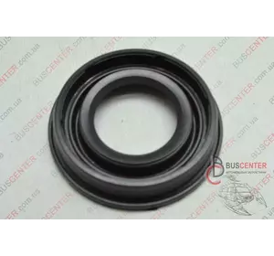 Уплотнительное кольцо форсунки (прокладка "1 шт") Fiat Ducato 9662222180 HW000210 Уплотнительное кольцо форсунки (прокладка "1 шт") Fiat Ducato 9662222180 HW000210