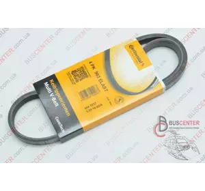 Ремень ручейковый 4 PK 903 (привод компрессора кондиционера) Fiat Ducato 504066407 4 PK 903 ELAST Ремень ручейковый 4 PK 903 (привод компрессора кондиционера) Fiat Ducato 504066407 4 PK 903 ELAST
