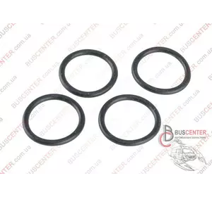 Уплотнительное кольцо вакуумного насоса маленькая Fiat Ducato 4556 06 Уплотнительное кольцо вакуумного насоса маленькая Fiat Ducato 4556 06