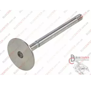 Впускной клапан (1 шт) Ford Connect 1 113 197 R 6143 Впускной клапан (1 шт) Ford Connect 1 113 197 R 6143