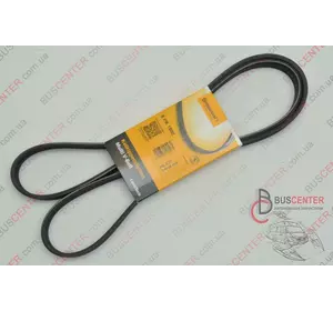Ремень ручейковый 6 PK 1600 Opel Combo 1 340 683 6 PK 1600 Ремень ручейковый 6 PK 1600 Opel Combo 1 340 683 6 PK 1600