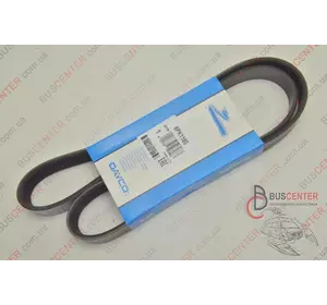 Ремень ручейковый 6 PK 1160 Fiat Ducato 504092340 DAY6PK1160 Ремень ручейковый 6 PK 1160 Fiat Ducato 504092340 DAY6PK1160