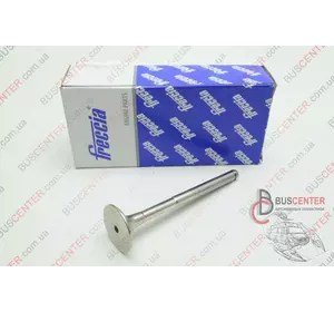 Выпускной клапан (1 шт) Renault Kangoo 7701469373 R4942/BM Выпускной клапан (1 шт) Renault Kangoo 7701469373 R4942/BM