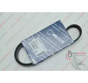 Ремень ручейковый 6 PK 976 Fiat Ducato 9652250580 050 006 0976 Ремень ручейковый 6 PK 976 Fiat Ducato 9652250580 050 006 0976