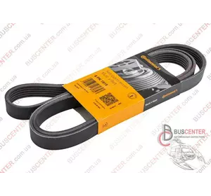 Ремень ручейковый 6 PK 1815 Fiat Doblo 55189680 6 PK 1815 Ремень ручейковый 6 PK 1815 Fiat Doblo 55189680 6 PK 1815