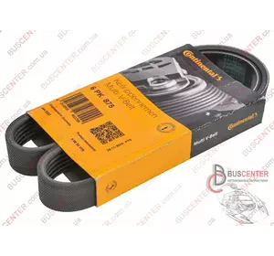 Ремень ручейковый 6 PK 875 Fiat Ducato 9652250580 6 PK 875 Ремень ручейковый 6 PK 875 Fiat Ducato 9652250580 6 PK 875