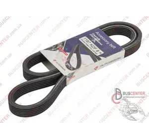Ремень ручейковый 1187 KDF 6 VW POLO (6N2) Volkswagen Caddy 45260849 1187 KDF 6 Ремень ручейковый 1187 KDF 6 VW POLO (6N2) Volkswagen Caddy 45260849 1187 KDF 6