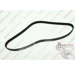 Ремень ручейковый 6 PK 1050 Fiat Doblo 5050 PL DAY6PK1050 Ремень ручейковый 6 PK 1050 Fiat Doblo 5050 PL DAY6PK1050