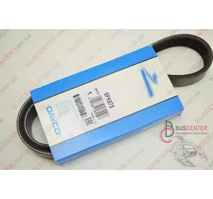 Ремень ручейковый 6 PK 875 Fiat Ducato 9652250580 DAY6PK875 Ремень ручейковый 6 PK 875 Fiat Ducato 9652250580 DAY6PK875