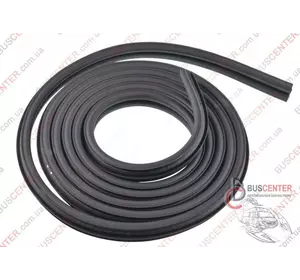 Уплотнитель боковой сдвижной двери правой/ левой Renault Mascott 8200234587 Уплотнитель боковой сдвижной двери правой/ левой Renault Mascott 8200234587