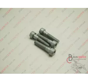Болт крепления вискомуфты к помпе M10 Mercedes Sprinter N000912010221 Болт крепления вискомуфты к помпе M10 Mercedes Sprinter N000912010221