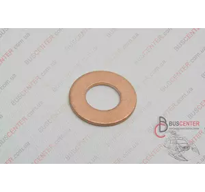 Уплотнительное кольцо форсунки (прокладка, шайба - 1 шт) Renault Mascott 7701058113 Уплотнительное кольцо форсунки (прокладка, шайба - 1 шт) Renault Mascott 7701058113