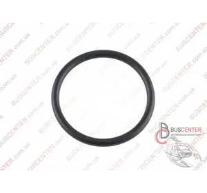 Уплотняющее кольцо сапуна Renault Kangoo 0100100QAB 01001-00QAB Уплотняющее кольцо сапуна Renault Kangoo 0100100QAB 01001-00QAB