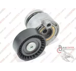 Натяжной ролик генератора (натяжитель) Renault Kangoo 8200371058 Натяжной ролик генератора (натяжитель) Renault Kangoo 8200371058