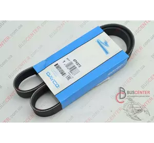 Ремень ручейковый 6 PK 975 Fiat Ducato 9652250580 DAY6PK975 Ремень ручейковый 6 PK 975 Fiat Ducato 9652250580 DAY6PK975