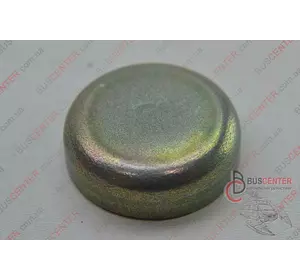 Заглушка двигателя D27 (пробка блока цилиндра "1 шт") Citroen Berlingo 7903075019 ZAS 35129 Заглушка двигателя D27 (пробка блока цилиндра "1 шт") Citroen Berlingo 7903075019 ZAS 35129