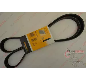 Ремень ручейковый 6 PK 1750 Fiat Scudo 5750 YG 6 PK 1750 Ремень ручейковый 6 PK 1750 Fiat Scudo 5750 YG 6 PK 1750