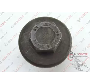 Болт крепления коленвала Ford Transit 815F6279AA Болт крепления коленвала Ford Transit 815F6279AA