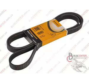 Ремень ручейковый 6 PK 2175 (с кондиционером) Mercedes T1 008 997 17 92 6 PK 2175 Ремень ручейковый 6 PK 2175 (с кондиционером) Mercedes T1 008 997 17 92 6 PK 2175