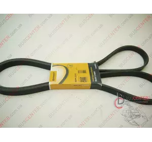 Ремень ручейковый 6 DPK 2215 ((OM651) Двухсторонний ) Mercedes Sprinter 6DPK2215 Ремень ручейковый 6 DPK 2215 ((OM651) Двухсторонний ) Mercedes Sprinter 6DPK2215