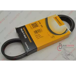 Ремень ручейковый 5 PK 925 Fiat Ducato 71719079 5 PK 925 Ремень ручейковый 5 PK 925 Fiat Ducato 71719079 5 PK 925