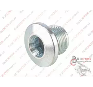 Болт клапанной крышки (заглушка) Fiat Doblo 46437207 B030.12233 Болт клапанной крышки (заглушка) Fiat Doblo 46437207 B030.12233