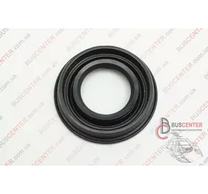 Уплотнительное кольцо форсунки (прокладка "1 шт") Fiat Ducato 03L 103 070 A 41187-P Уплотнительное кольцо форсунки (прокладка "1 шт") Fiat Ducato 03L 103 070 A 41187-P