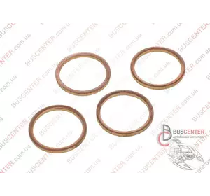 Уплотнительное кольцо форсунки (прокладка, шайба - 1 шт) Fiat Ducato 1981 33 40-70624-00 Уплотнительное кольцо форсунки (прокладка, шайба - 1 шт) Fiat Ducato 1981 33 40-70624-00